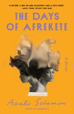 The Days of Afrekete: A Novel By Asali Solomon Cover Image