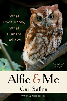 Alfie and Me: What Owls Know, What Humans Believe By Carl Safina Cover Image