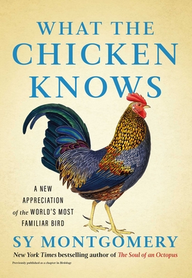 What the Chicken Knows: A New Appreciation of the World's Most Familiar Bird By Sy Montgomery Cover Image