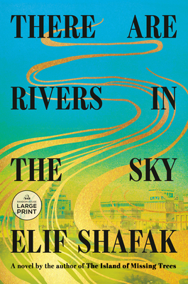 There Are Rivers in the Sky: A novel By Elif Shafak Cover Image